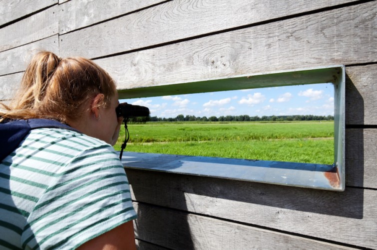 Wandelroute Rondje Reeuwijkse Hout (5,4 km)