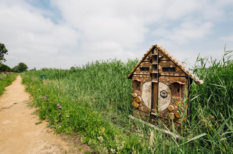 Insectenhotel Hortemansdijk