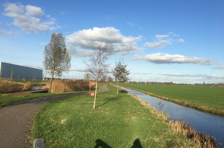 Centrumspeurtocht en Limespark wandeling