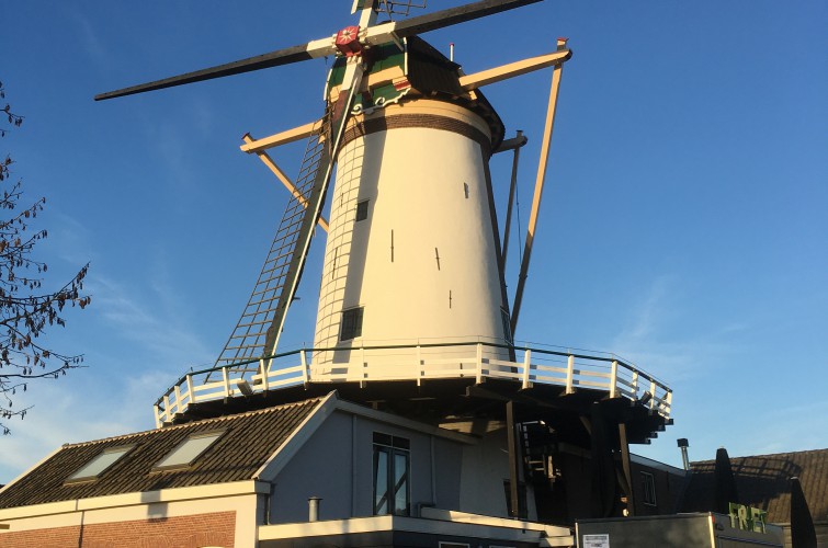 Korenmolen De Arkduif in Bodegraven